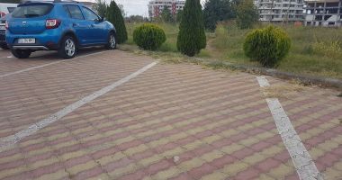 Stire din Social : Constănțenii, iubăreți foc! Pe Aleea prezervativelor, spre Campusul Universitar. Poliție prin zonă?