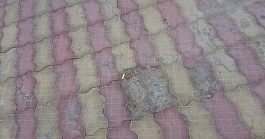 Constănțenii, iubăreți foc! Pe Aleea prezervativelor, spre Campusul Universitar. Poliție prin zonă? - 2