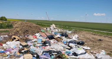 Stire din Social : Primăria Cogealac, sancționată din nou de comisarii Gărzii Naționale de Mediu