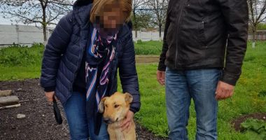 Stire din Politică-Administrație : Primăria Constanța continuă campania de adopție a câinilor fără stăpâni
