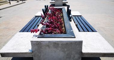 Stire din Politică-Administrație : Primăria Constanța continuă plantările florilor decorative