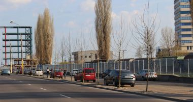Primăria Constanța a pus gând rău copacilor din zona Poarta 1! Proiectul de reabilitare a perimetrului, făcut pe genunchi! - 2