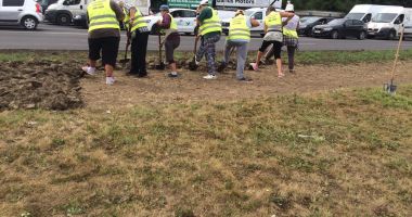 Stire din Politică-Administrație : Primăria Constanța, acțiuni de întreținere a spațiilor verzi în mai multe cartiere
