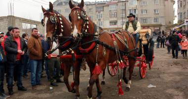 Stire din Politică-Administrație : Primăria Mihail Kogălniceanu organizează "Botezul Cailor"