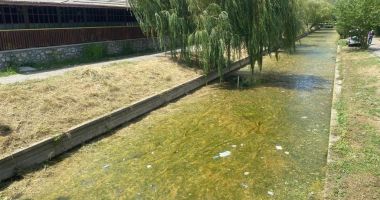 Stire din Social : Administrația locală din Constanța nu poate interveni pentru igienizarea lacurilor Tăbăcărie și Siutghiol