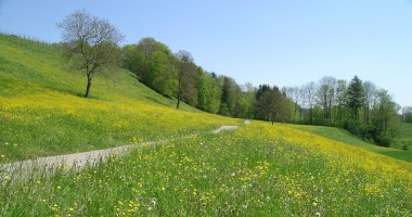 Stire din Social : Prognoza meteo pe termen mediu / Cum va fi vremea în următoarele trei luni