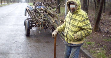 Stire din Eveniment : Prins de jandarmi în timp ce tăia copaci de zor dintr-o pădure