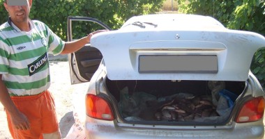 Prinși cu peștele în portbagaj de polițiștii Gărzii de Coastă - 2