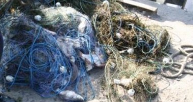 Stire din Eveniment : Plase de pescuit ilegale și pește, confiscate de Garda de Coastă