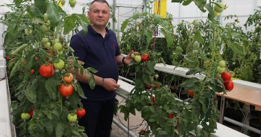 Stire din Economie : Procedurile de accesare a ajutoarelor destinate legumicultorilor se simplifică