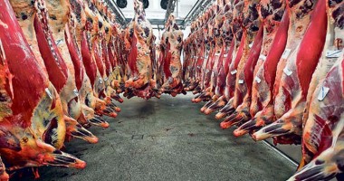 Producția de carne a scăzut în 2013