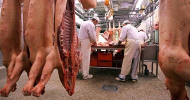 Stire din Economie : Producția de carne, în creștere  la toate speciile de animale