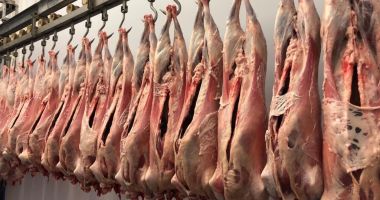 Stire din Economie : Producția de carne de porc, în scădere