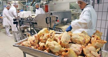 Producția de carne a scăzut îngrijorător