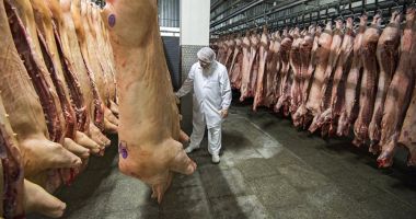 Stire din Economie : Producția de carne bate pasul pe loc