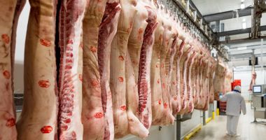 Stire din Economie : Producția de carne crește doar la ovine și caprine