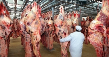 Producția de carne este în creștere