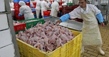 Stire din Economie : Specialiștii susțin că s-a diminuat producția de carne