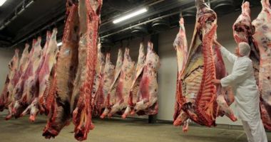 Stire din Economie : Producția de carne este în declin