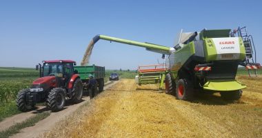 Stire din Economie : Producția de grâu a scăzut cu 15% – 18% față de anul 2021
