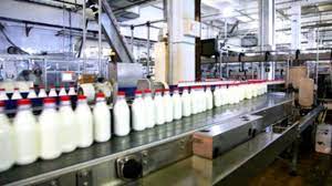 Stire din Economie : Producția de lapte s-a diminuat în favoarea importului
