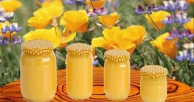 Stire din Sănătate : Produsele stupului în tratamentul afecțiunilor sistemului nervos