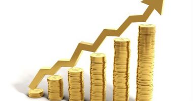 Stire din Economie : Produsul intern brut crește în vremuri de pandemie