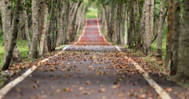 Stire din Social : Cum va fi vremea în weekend. Se întorc temperaturile de vară