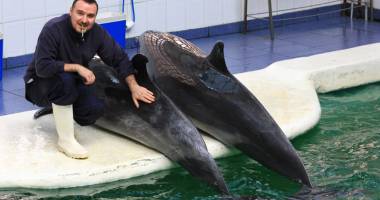 Program nou la Delfinariu, Acvariu și Planetariu - 3