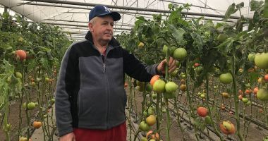 Stire din Economie : Programele de sprijin destinate legumicultorilor au fost simplificate