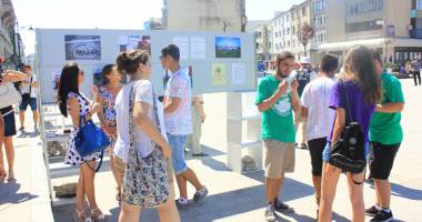 Proiect cultural pentru combaterea violenței - 2
