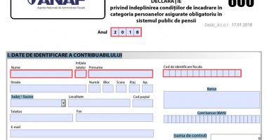 Stire din Economie : Proiect de OUG pentru prelungirea termenului  de depunere  a declarației 600