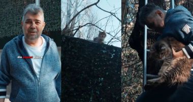 Stire din Actualitate : Marcel Ciolacu salvator pentru un membru al familiei. S-a urcat pe scară și l-a dat jos în siguranță