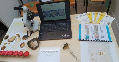 Proiect al liceenilor de la ”Ovidius”, multi-premiat național - 2