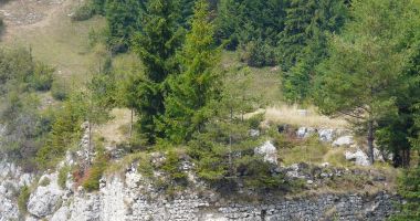 Fortificaţiile romane vor fi mai bine puse în evidenţă pe viitor - 2
