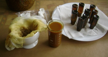 Stire din Sănătate : Propolisul, vedeta iernii. Cel mai bun  antibiotic natural
