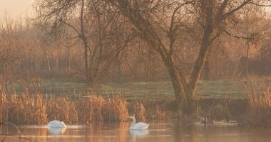 Stire din Social : Ziua Mondială a Zonelor Umede, sărbătorită luna aceasta