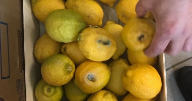 Stire din Social : Amendă de 22.000 lei  și magazin alimentar închis  de Protecția Consumatorilor