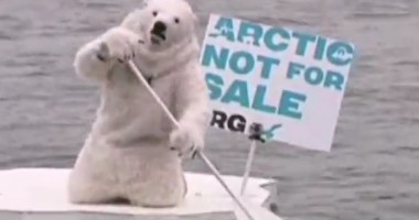 Stire din Actualitate : Protest inedit în fața Kremlinului: Un urs polar s-a plimbat pe o banchiză pe râul Moscova