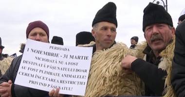 Stire din Politică-Administrație : Ciobanii protestează în fața Parlamentului
