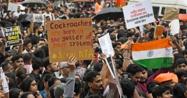 Mișcarea „Partidul Gândacilor” revendică o victorie majoră în India