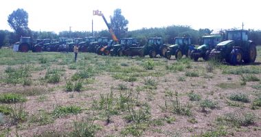Stire din Economie : Jale mare în agricultură! "Sunt culturi calamitate în procent de 100%"