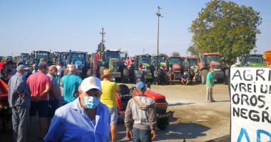 Jale mare în agricultură! "Sunt culturi calamitate în procent de 100%" - 3