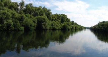 A trecut înot Prutul pentru că își dorea să ajungă la muncă în Franța