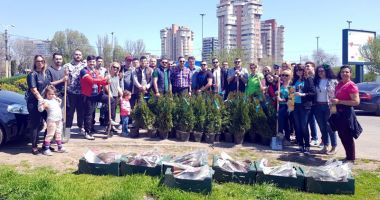 Stire din Politică-Administrație : Social-democrații din Constanța au plantat arbuști în apropierea pasajului subteran de la Gară