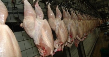 Stire din Economie : Selgros a retras din magazine toate produsele livrate de Avicola Călărași