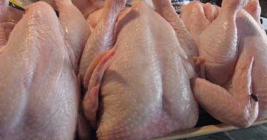 Stire din Economie : Fermele de pui au pierdut 25 milioane de euro după scandalul salmonela