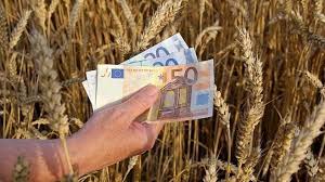 Stire din Economie : Pulsul economiei