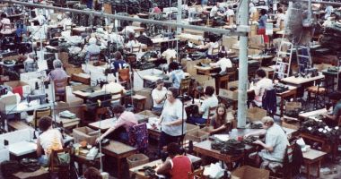Stire din Economie : Pulsul economiei