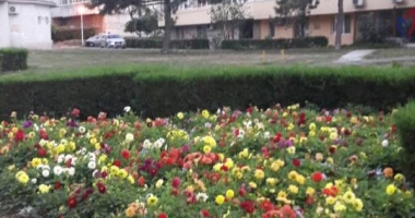 Încă o victorie pentru constănțeni! Instanța a anulat definitiv un PUZ pentru construirea de blocuri pe spațiu verde - 2